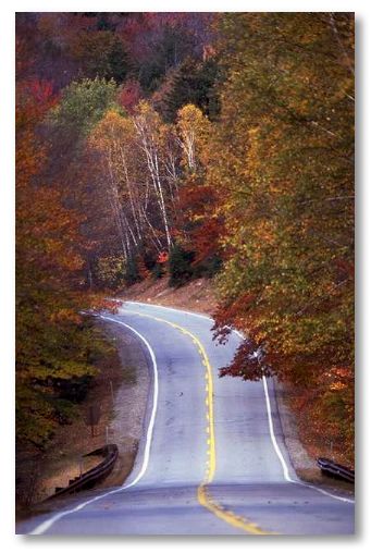 At Lepage Associates, one area of focus is on building a team with extensive experience working with college students