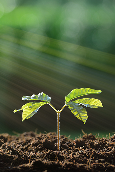 Click Here For Therapy For Adolescents