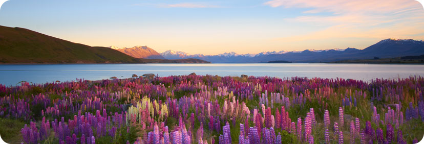 Couple’s Counseling & Marriage Therapy Services List