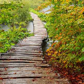 SEPARATION & DIVORCE TRANSITION SERVICES