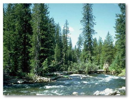 DIDACTIC/PSYCHO-EDUCATIONAL INFORMATION YOU CAN LEARN IN A GROUP OR INDIVIDUAL FORMAT!