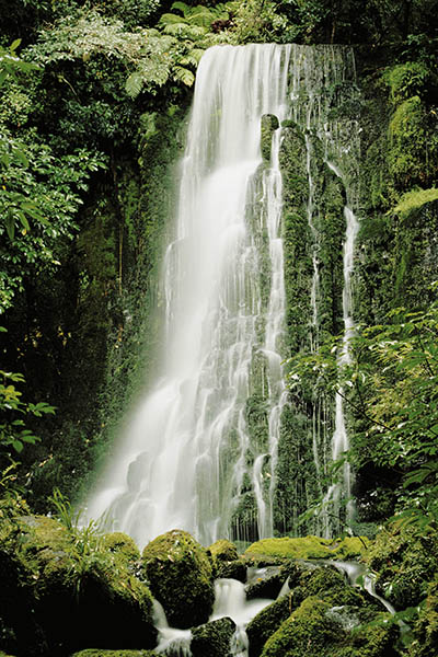 General Adult Therapy Services