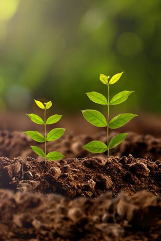 TEEN SPACE AT LEPAGE ASSOCIATES